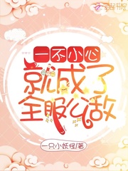 一不小心娶了位江湖公敌